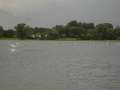 PICT0906